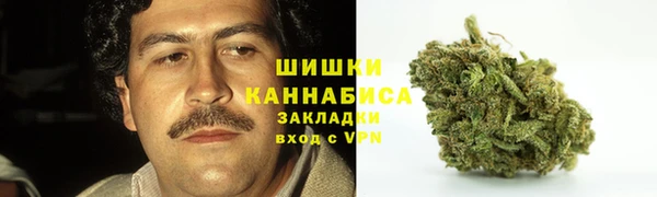 крисы Кинешма