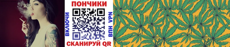 Канабис индика  Купить закладки  Гусиноозёрск 